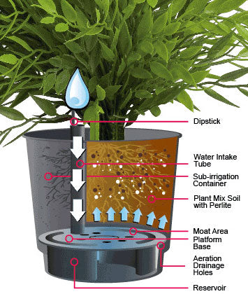 Dispensador Eco para sustancias en polvo - Grow Barato