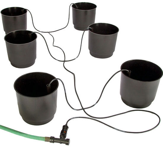 Eco Grow 6-pack Hydroponic System