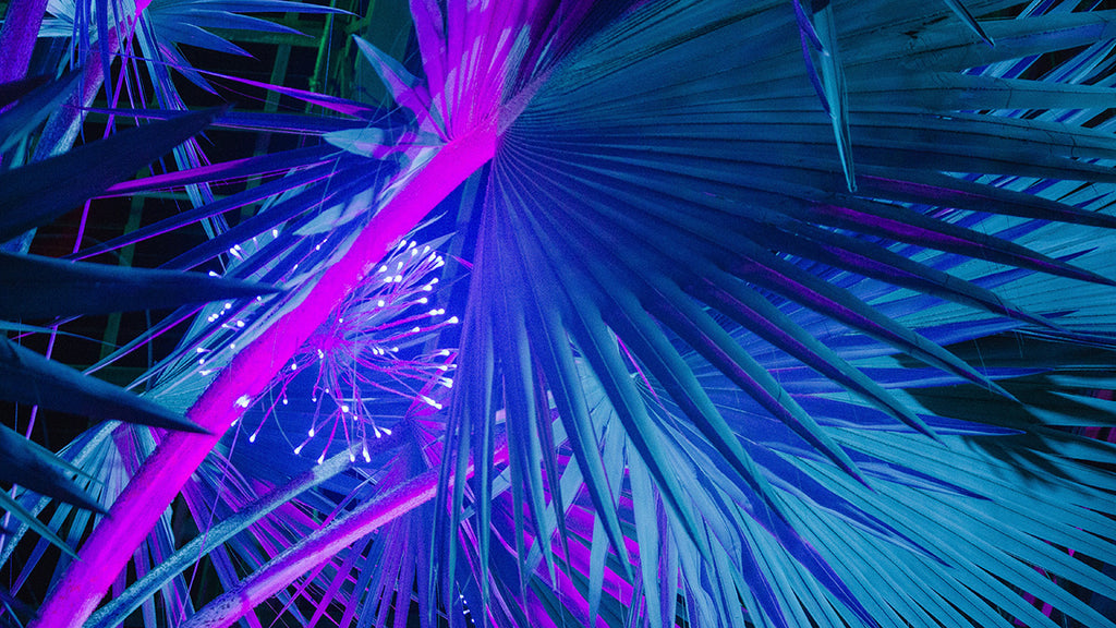 Guide To Modern Garden Lighting