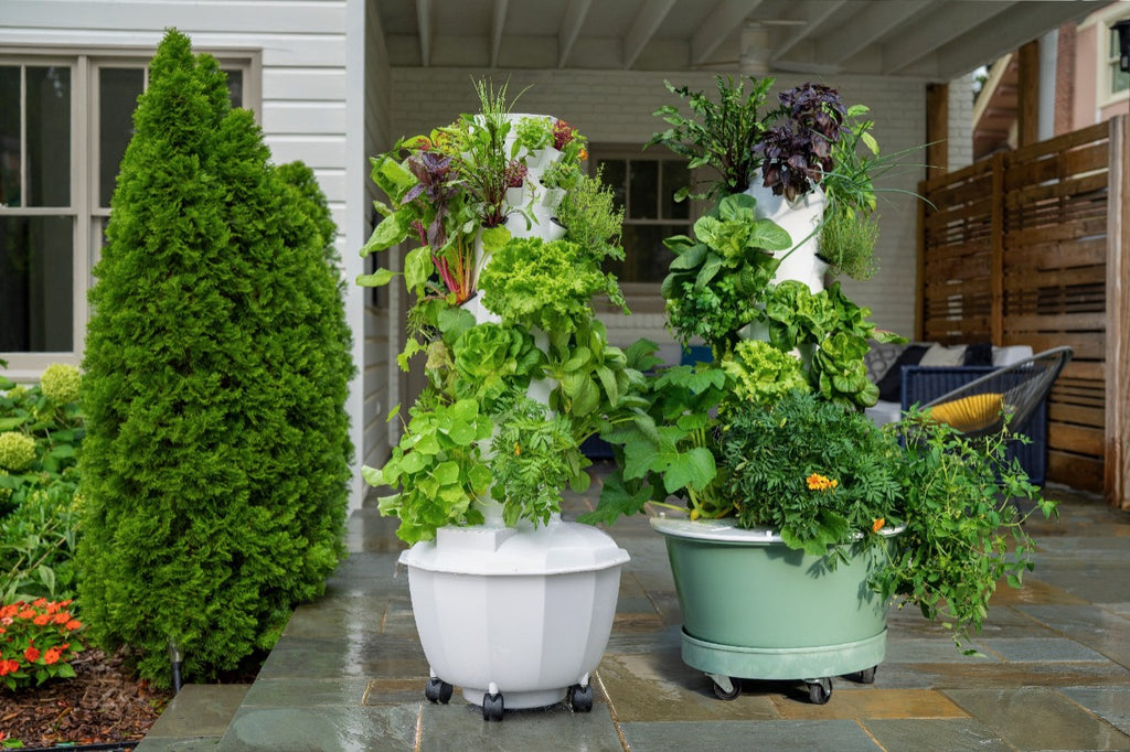 What is the Tower Garden and Why You Should Get One