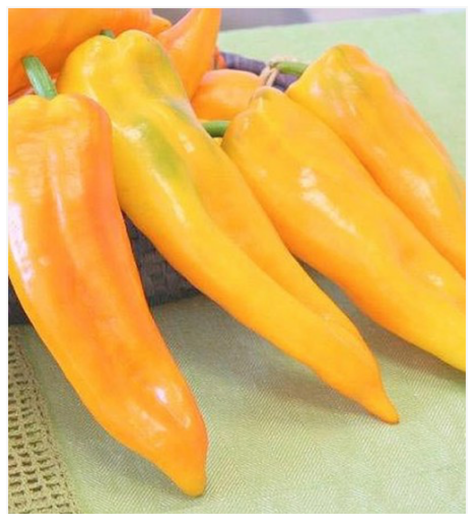 Pepper Sweet Yellow Corno Di Toro Giallo