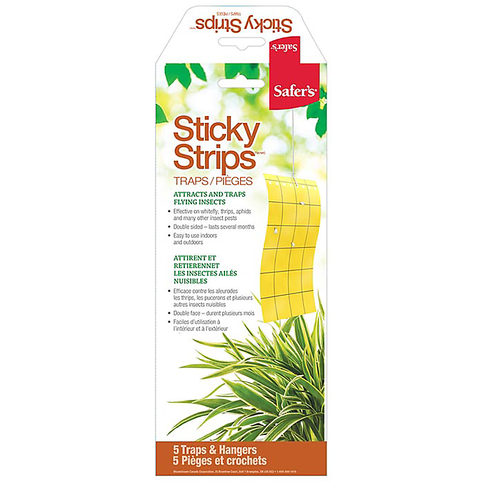 Sticky Strips (5 pack)