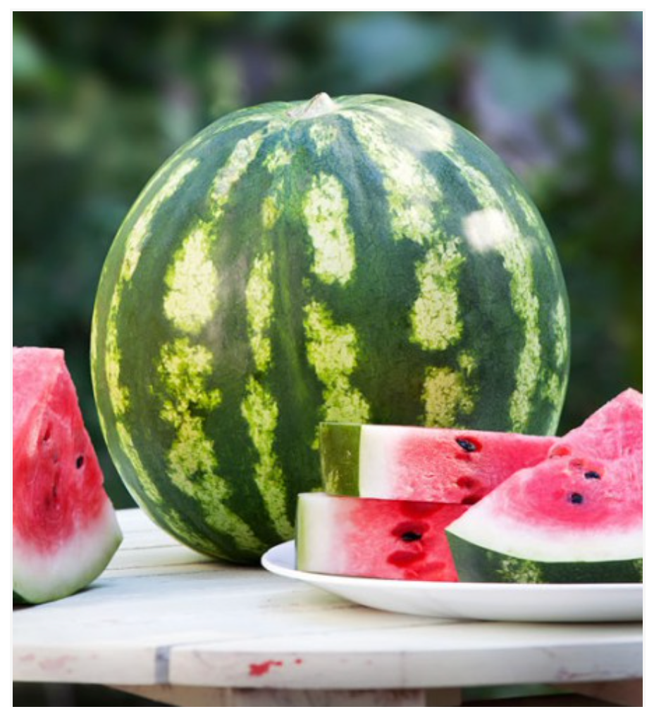Watermelon Crimson Sweet - Dutchman's Hydroponics & Garden Supply