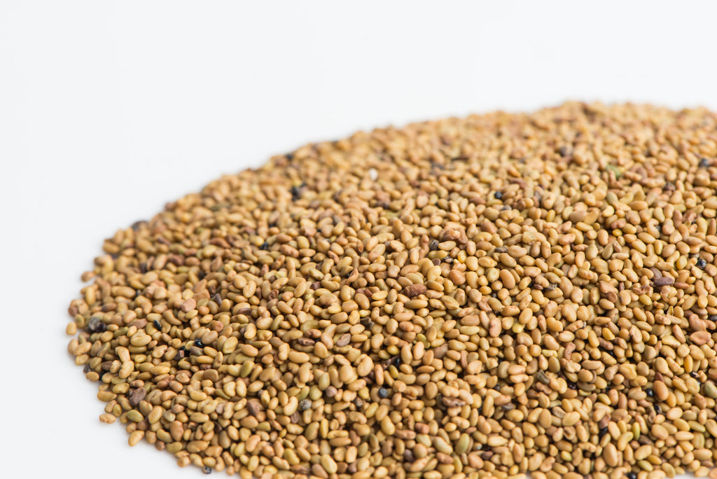 Mumm's Alfalfa Seeds