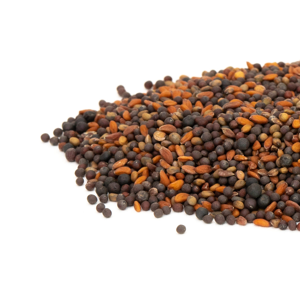 Spicy Microgreen Blend