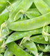 Sticky Image