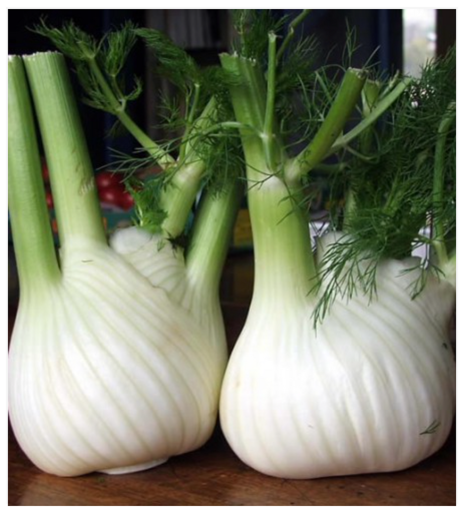Fennel Anise Wadenroman - Dutchman's Hydroponics & Garden Supply