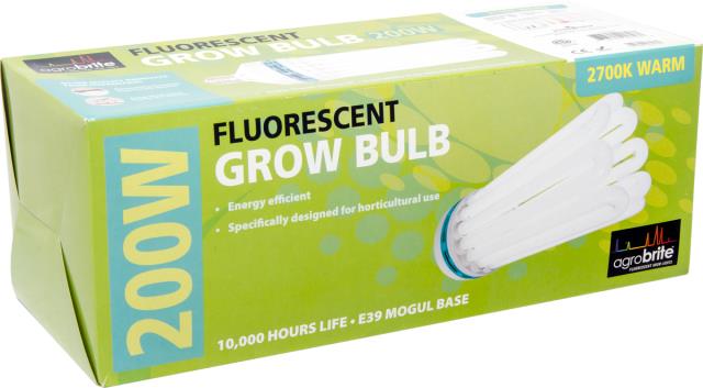 200W Compact Fluorescent Lamp (2700K)