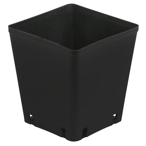 Black Plastic Square Pot 5 x 5 x 5.25 in