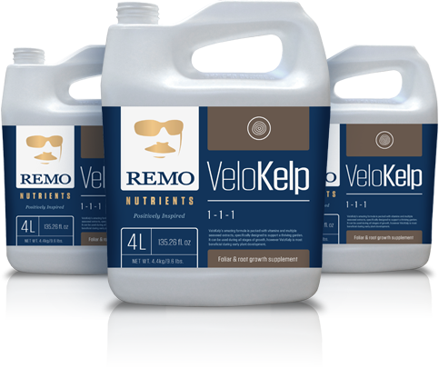 Remo VeloKelp - 1 litre - Dutchman's Hydroponics & Garden Supply